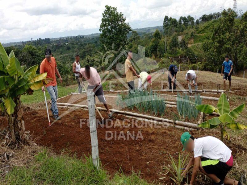 F031 Popayán Cauca Centro De Rehabilitación Adicciones Drogadicción Ludopatía Alcoholismo