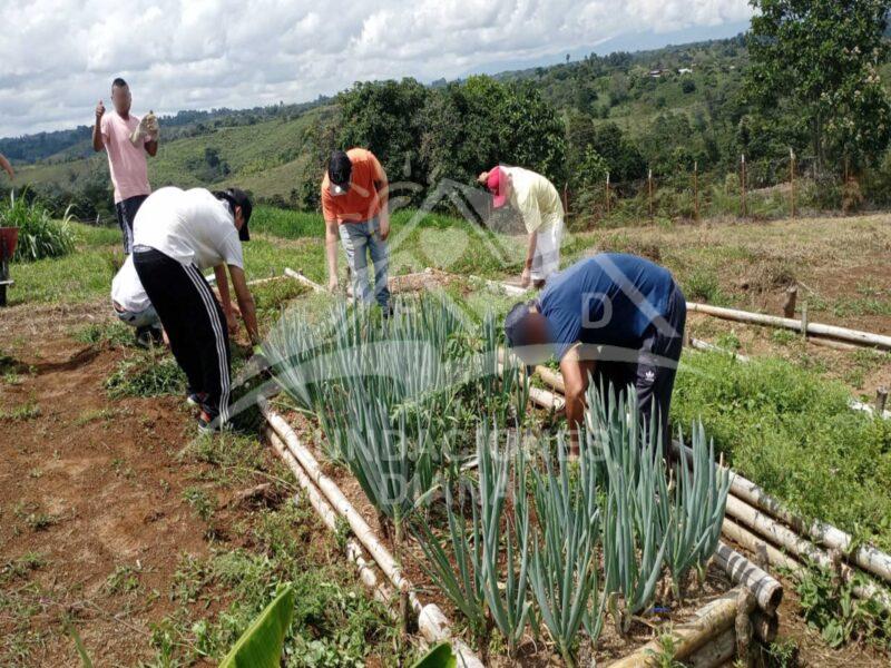 F031 Popayán Cauca Centro De Rehabilitación Adicciones Drogadicción Ludopatía Alcoholismo