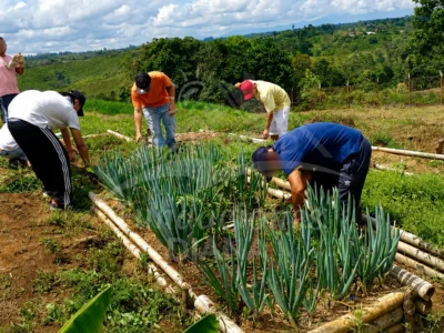 F031 Popayán Cauca Centro De Rehabilitación Adicciones Drogadicción Ludopatía Alcoholismo