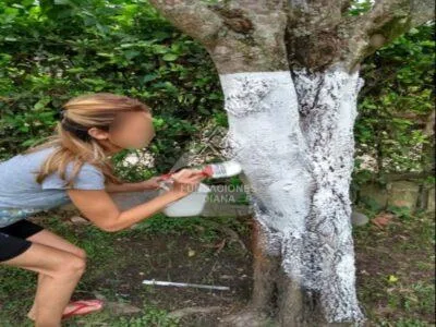 F013 Piedecuesta Santander Centro De Rehabilitación Adicciones Drogadicción Ludopatía Alcoholismo