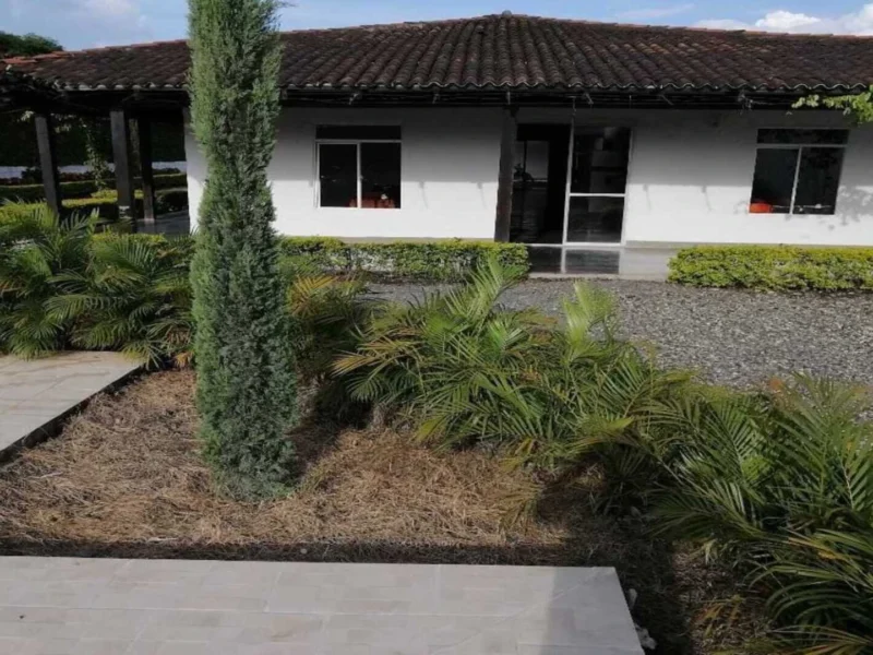 F055 Rozo Valle Del Cauca Centro De Rehabilitación Adicciones Drogadicción Ludopatía Alcoholismo