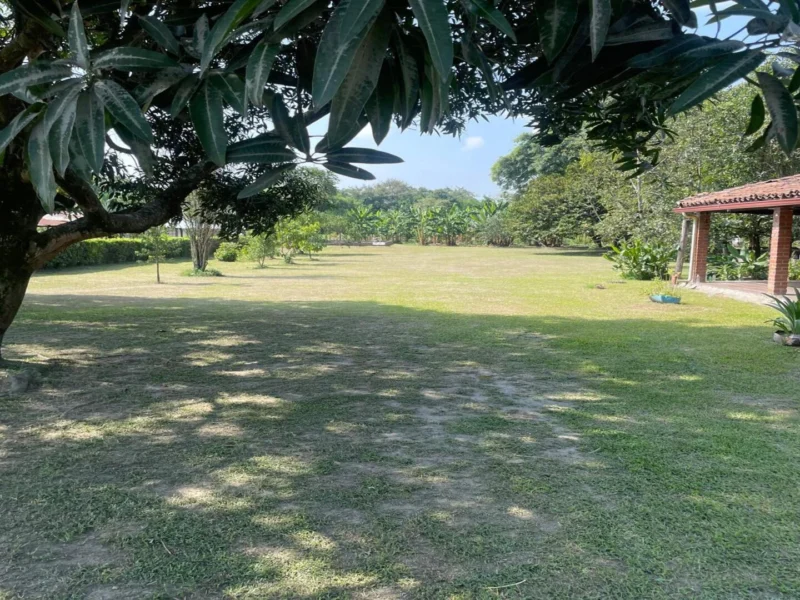 F055 Rozo Valle Del Cauca Centro De Rehabilitación Adicciones Drogadicción Ludopatía Alcoholismo