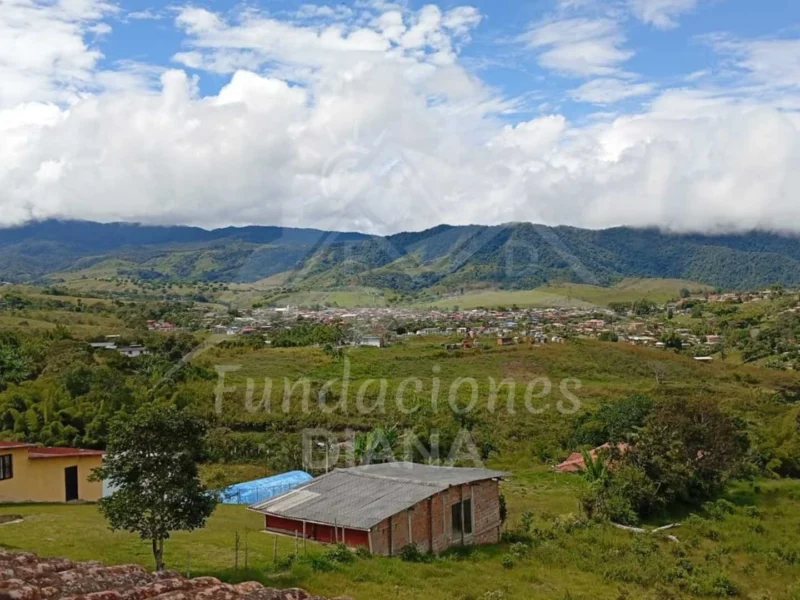 F129 Dagua Valle Del Cauca Centro De Rehabilitación Adicciones Drogadicción Ludopatía Alcoholismo