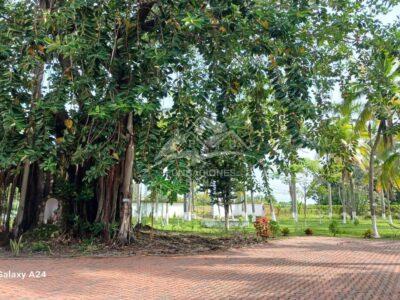 F158 Guamo Tolima Centro De Rehabilitación Adicciones Drogadicción Ludopatía Alcoholismo