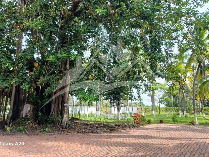 F158 Guamo Tolima Centro De Rehabilitación Adicciones Drogadicción Ludopatía Alcoholismo