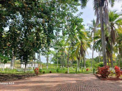 F158 Guamo Tolima Centro De Rehabilitación Adicciones Drogadicción Ludopatía Alcoholismo