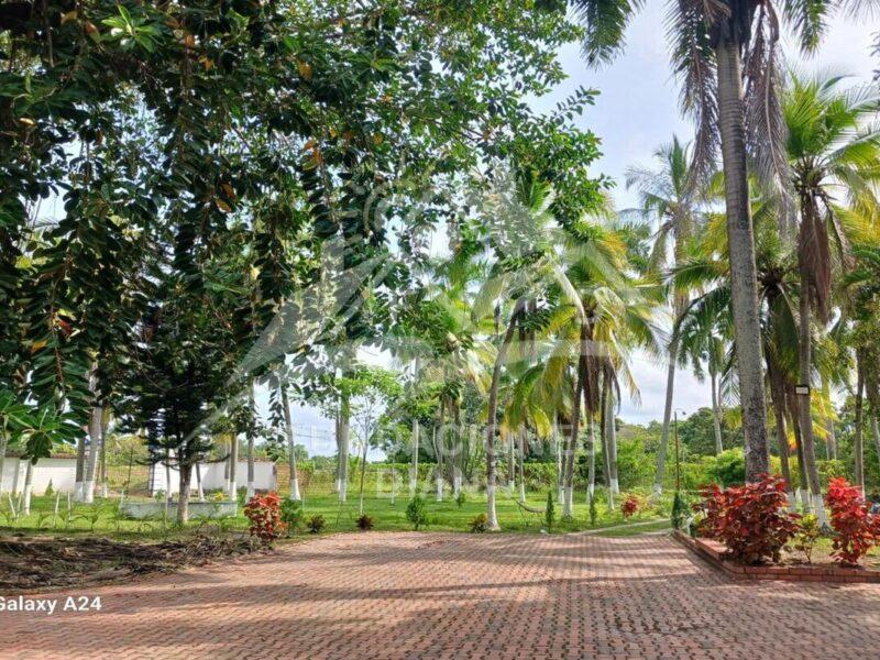 F158 Guamo Tolima Centro De Rehabilitación Adicciones Drogadicción Ludopatía Alcoholismo