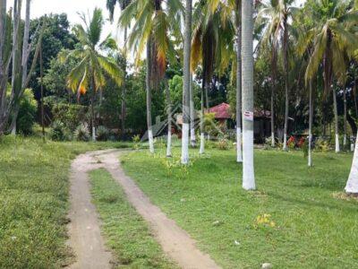 F158 Guamo Tolima Centro De Rehabilitación Adicciones Drogadicción Ludopatía Alcoholismo