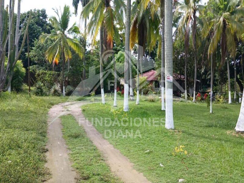 F158 Guamo Tolima Centro De Rehabilitación Adicciones Drogadicción Ludopatía Alcoholismo