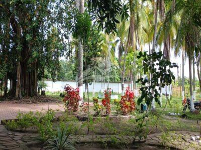 F158 Guamo Tolima Centro De Rehabilitación Adicciones Drogadicción Ludopatía Alcoholismo