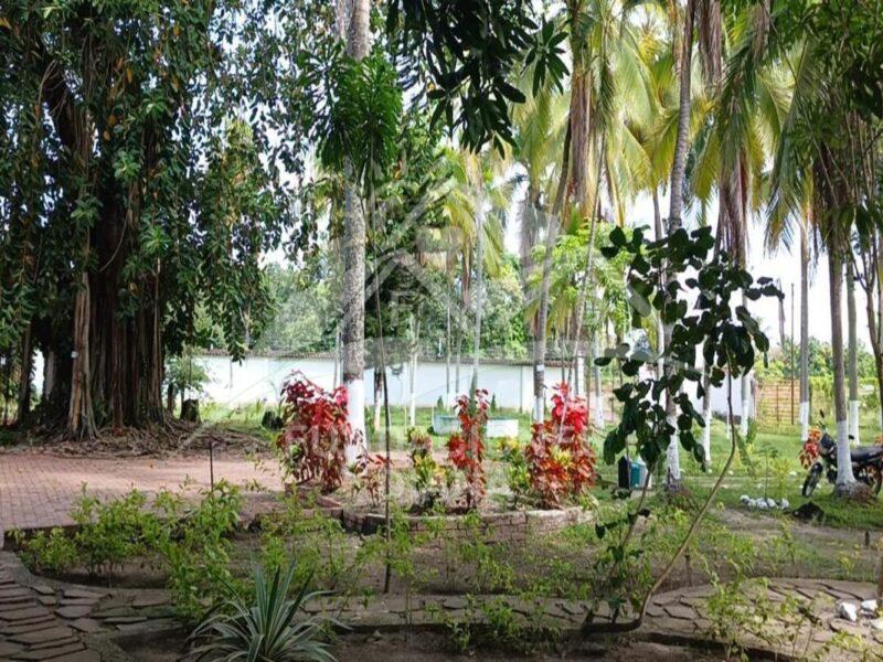 F158 Guamo Tolima Centro De Rehabilitación Adicciones Drogadicción Ludopatía Alcoholismo