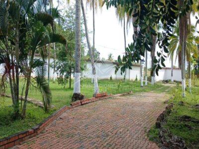 F158 Guamo Tolima Centro De Rehabilitación Adicciones Drogadicción Ludopatía Alcoholismo