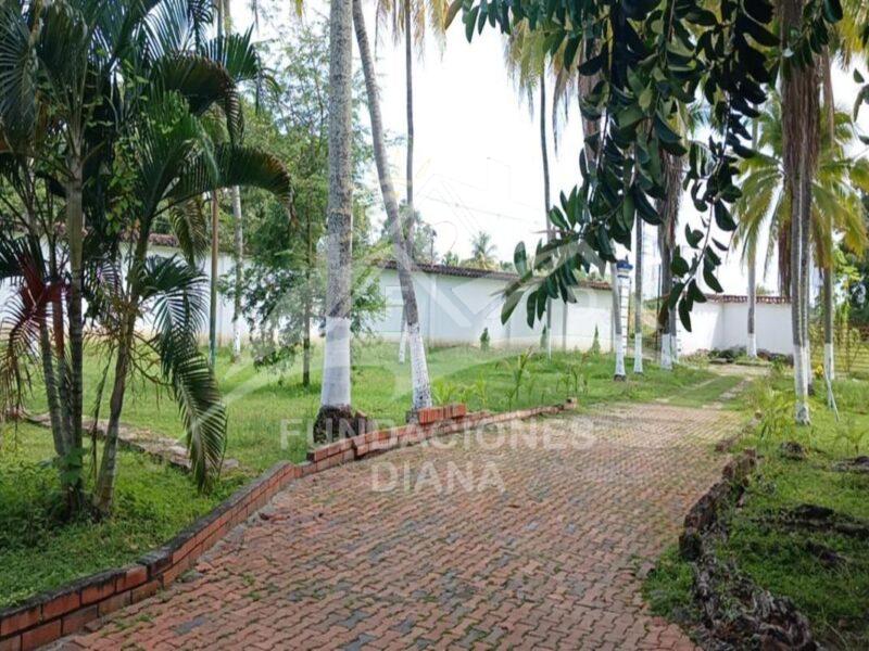F158 Guamo Tolima Centro De Rehabilitación Adicciones Drogadicción Ludopatía Alcoholismo