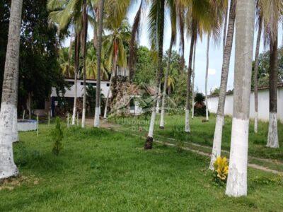 F158 Guamo Tolima Centro De Rehabilitación Adicciones Drogadicción Ludopatía Alcoholismo