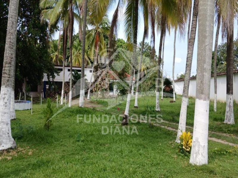 F158 Guamo Tolima Centro De Rehabilitación Adicciones Drogadicción Ludopatía Alcoholismo