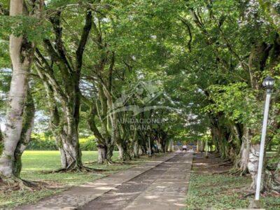 F162 Jamundí Valle Del Cauca Centro De Rehabilitación Adicciones Drogadicción Ludopatía Alcoholismo