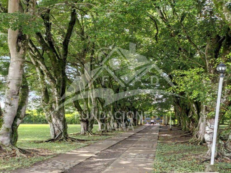 F162 Jamundí Valle Del Cauca Centro De Rehabilitación Adicciones Drogadicción Ludopatía Alcoholismo