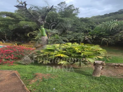 F167 Dagua Valle Del Cauca Centro De Rehabilitación Adicciones Drogadicción Ludopatía Alcoholismo