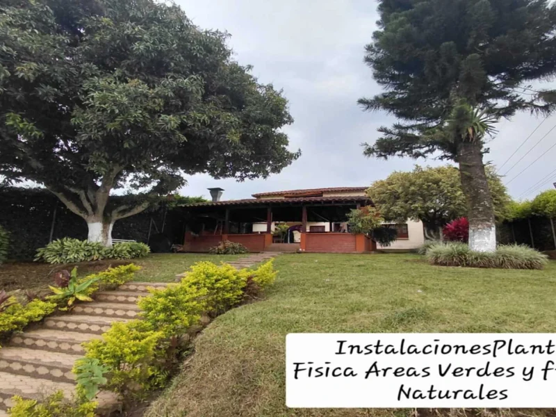 F170 Pereira Risaralda Centro De Rehabilitación Adicciones Drogadicción Ludopatía Alcoholismo