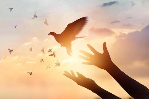 construyes manos abiertas soltando aves al amanecer, simbolizando libertad, esperanza y el inicio de un proceso de sanación y recuperación de las adicciones con fe y renovación interior.