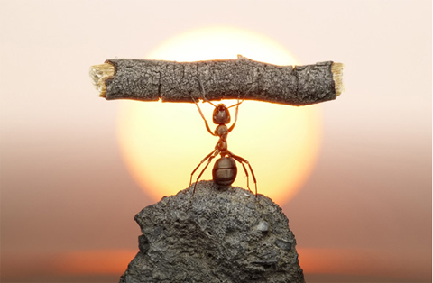En medio de la adversidad, aprender a consentir el proceso de la vida se convierte en un acto de fe y paciencia. La adversidad puede traer dolor, incertidumbre y desafíos en la familia, especialmente cuando se vive la realidad de las adicciones. Sin embargo, también invita a consentir los cambios que no se comprenden de inmediato, a consentir los tiempos de transformación y a consentir la esperanza de restauración. A través de la adversidad, se aprende a consentir la guía interior, a consentir la fortaleza emocional y a consentir la posibilidad de un nuevo comienzo.
